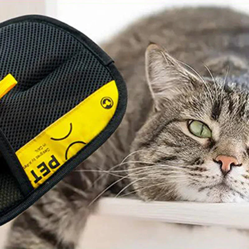 Luva PetZero™ – Fim dos Pelos em Casa