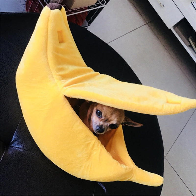 Caminha Banana Pet CatDog