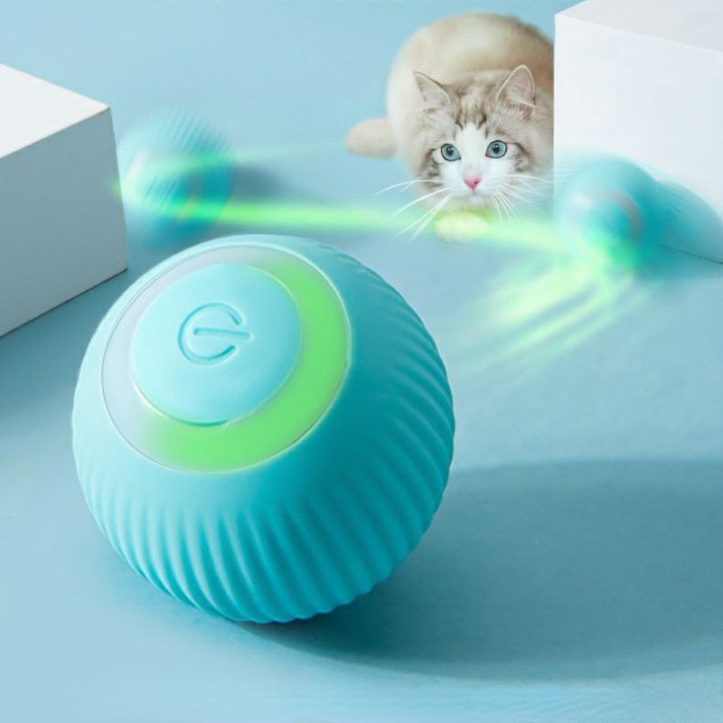 Electric Cat Ball